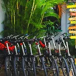 Los Mostros Hostel (Adults Only)